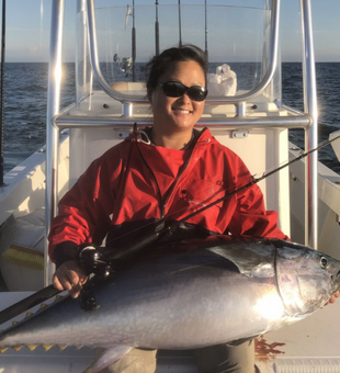 A bluefin Tuna